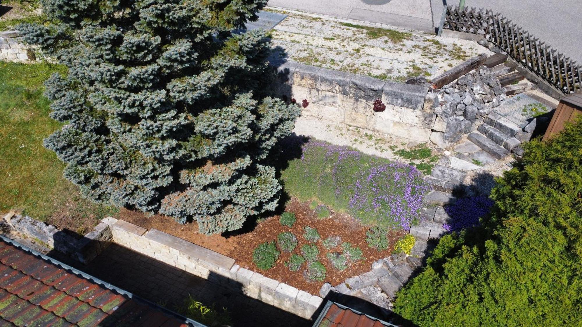 Ferienwohnung Dreiburgenblick ريدنبورغ المظهر الخارجي الصورة